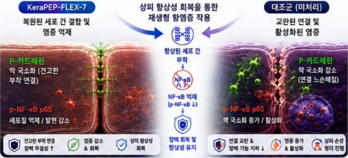 NF-κB 분석 결과